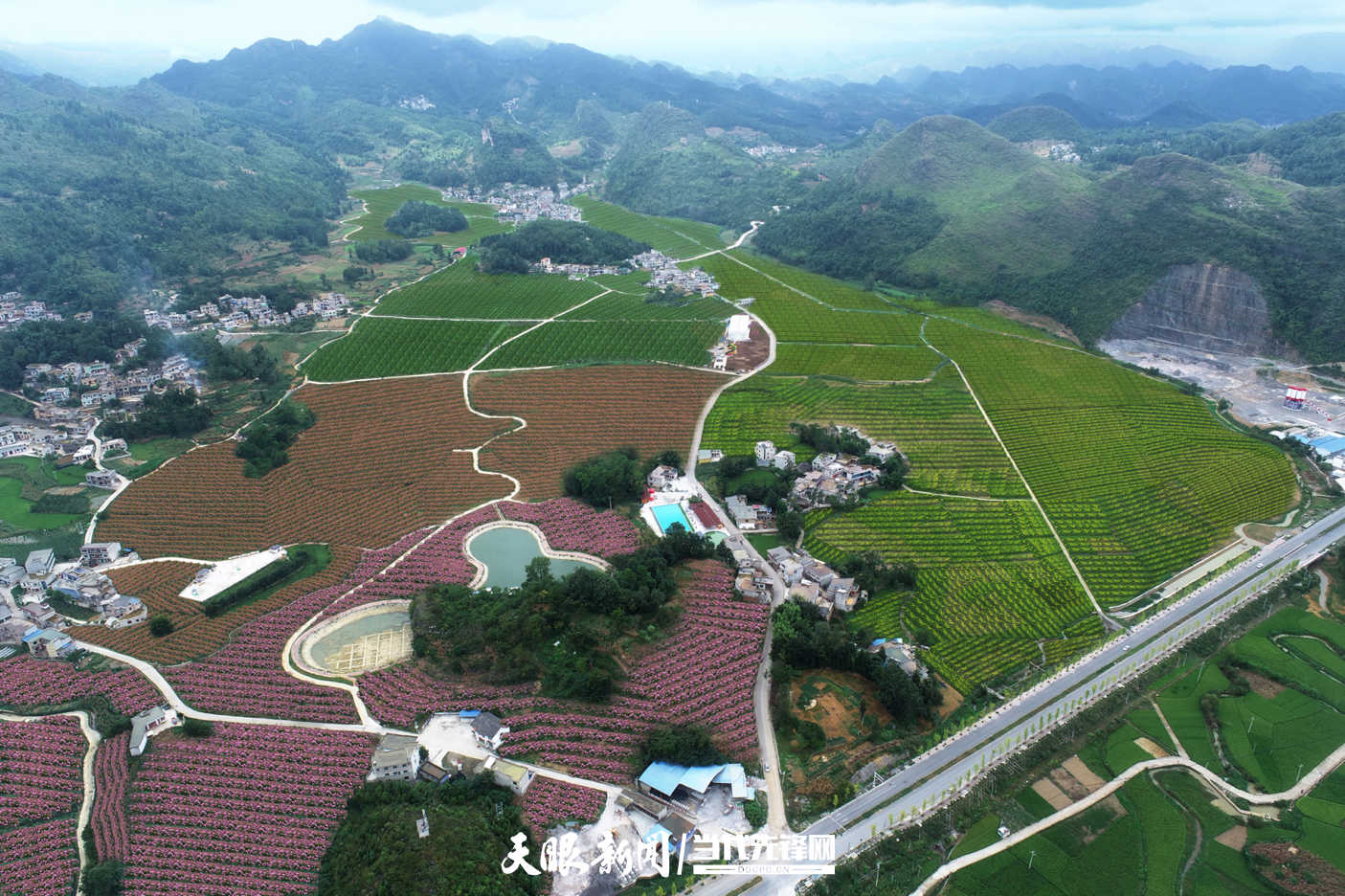 15、關(guān)嶺布依族苗族自治縣花江鎮(zhèn)永睦中藥材基地  圖片來(lái)源：關(guān)嶺中藥材產(chǎn)業(yè)專(zhuān)班 .jpg
